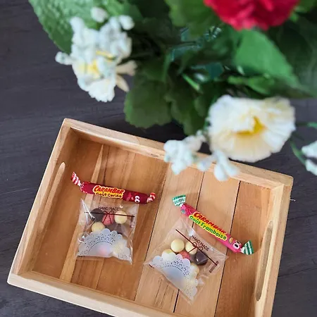 Apartament Elegance Cocooning Nancy