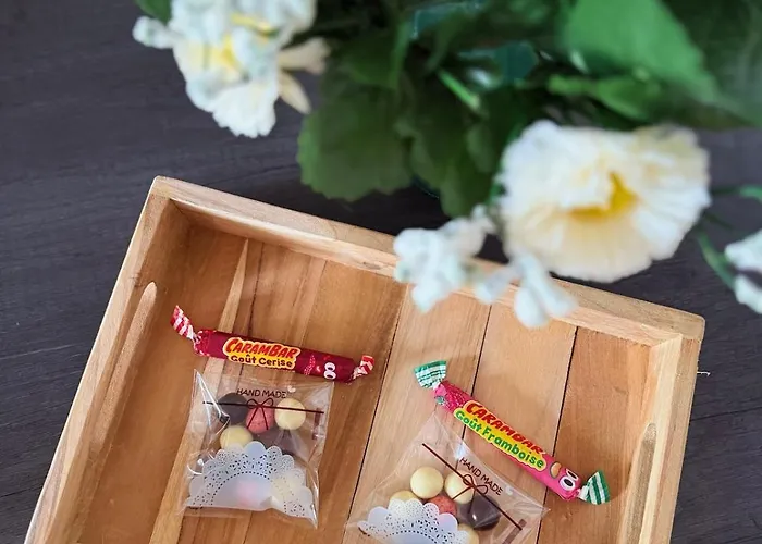 Apartment Elegance Cocooning Nancy