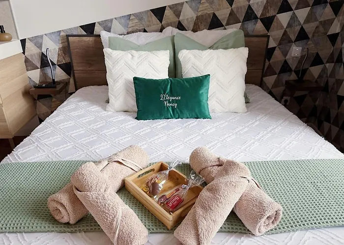 Elegance Cocooning Apartment Nancy